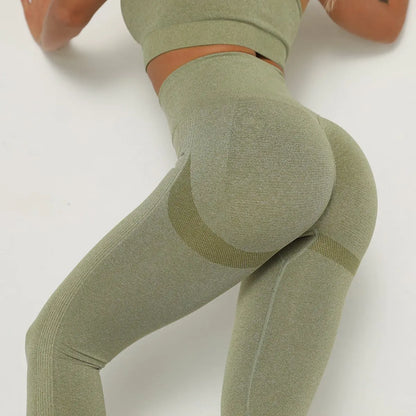 Seamless Butt Lifting Yoga Pants for Women Gym