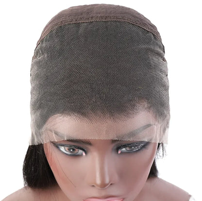 PREMIUM BLACK 13X4 HD LACE WIG